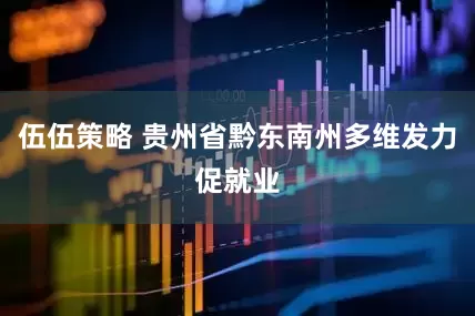 伍伍策略 贵州省黔东南州多维发力促就业