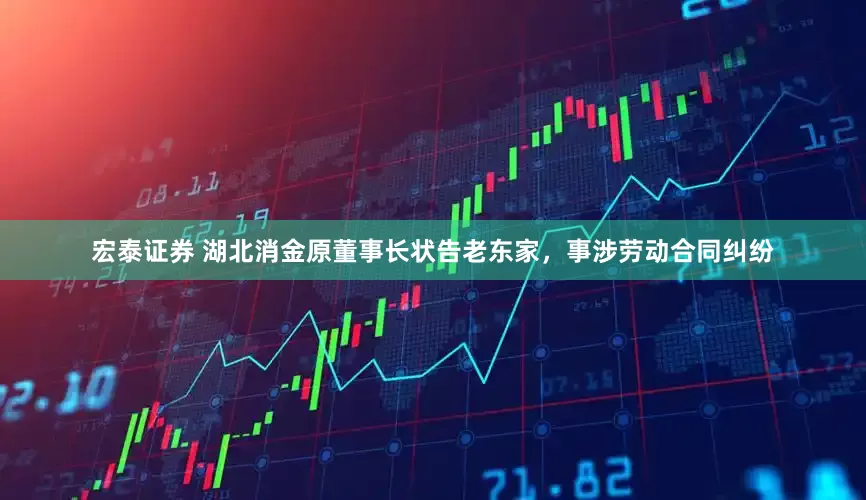 宏泰证券 湖北消金原董事长状告老东家，事涉劳动合同纠纷