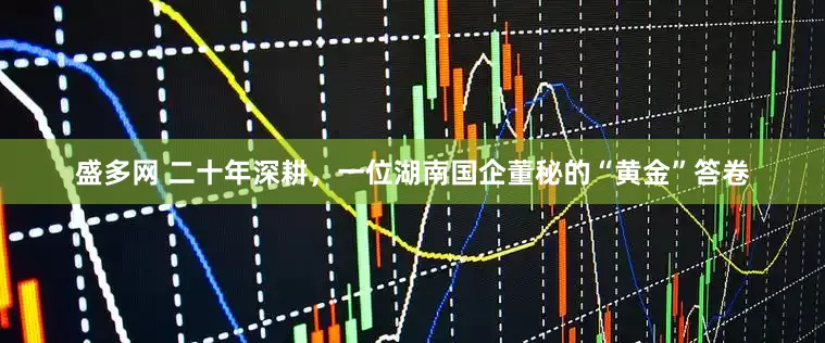 盛多网 二十年深耕，一位湖南国企董秘的“黄金”答卷