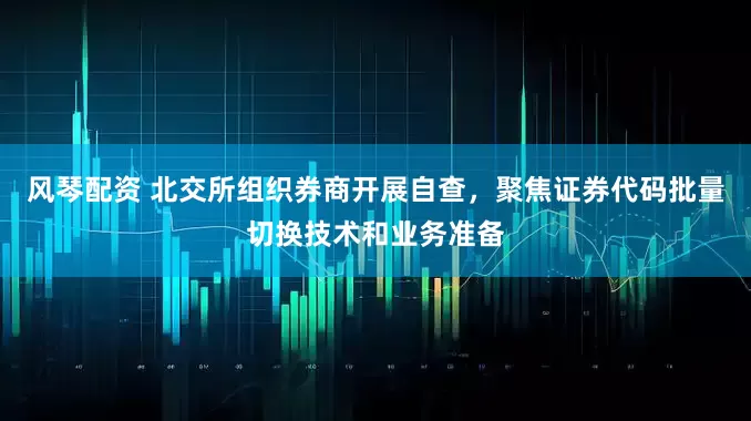 风琴配资 北交所组织券商开展自查，聚焦证券代码批量切换技术和业务准备