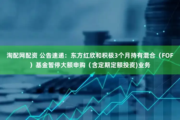 淘配网配资 公告速递：东方红欣和积极3个月持有混合（FOF）基金暂停大额申购（含定期定额投资)业务