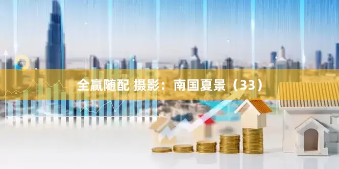 全赢随配 摄影：南国夏景（33）