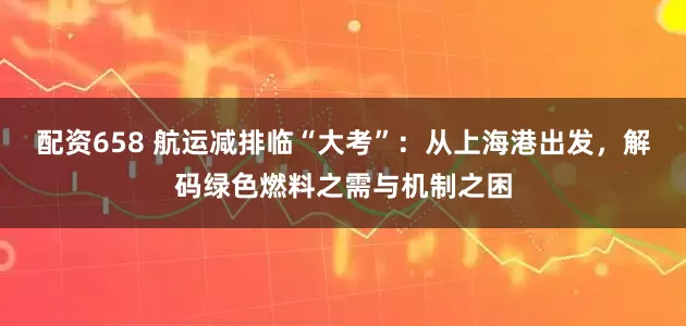 配资658 航运减排临“大考”：从上海港出发，解码绿色燃料之需与机制之困