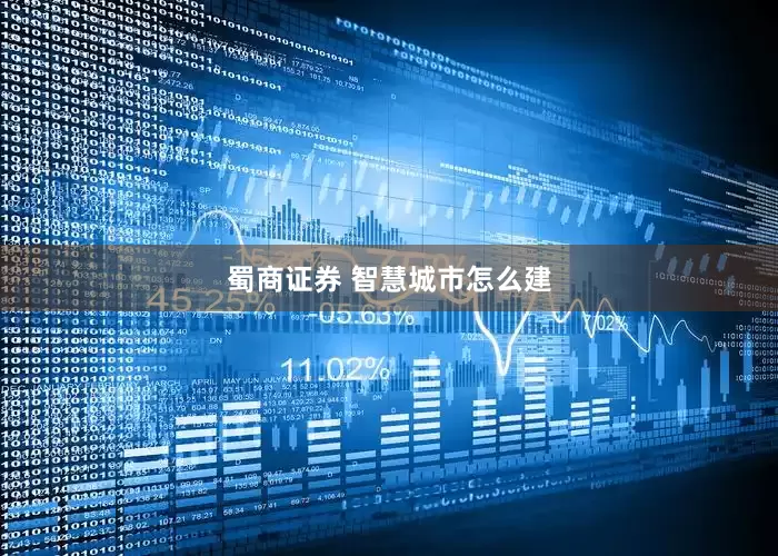 蜀商证券 智慧城市怎么建