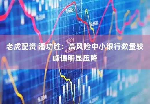 老虎配资 潘功胜：高风险中小银行数量较峰值明显压降