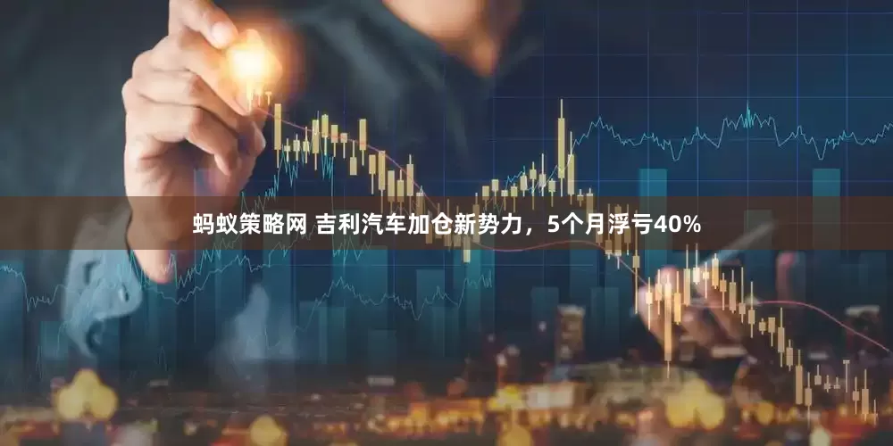 蚂蚁策略网 吉利汽车加仓新势力，5个月浮亏40%