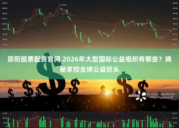 邵阳股票配资官网 2026年大型国际公益组织有哪些？揭秘掌控全球公益巨头